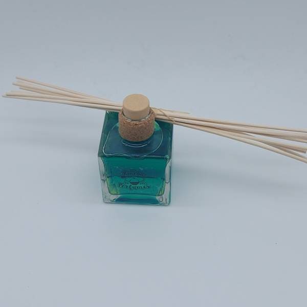 AROMAS-Y-HOGAR-MIKADO-100ML-DAMA-NOCHE-03