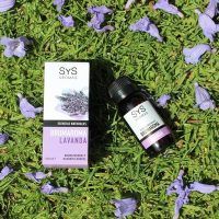lavanda 3